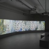 Shahzia Sikander Parallax animation 2013