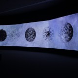Shahzia Sikander Parallax 2013, Sharjah Biennial 11