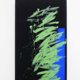 Ken Okiishi in the 2014 Whitney Biennial, New York